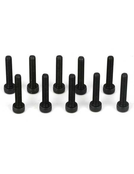 Cap Head Screws  M3 x 16mm (10)