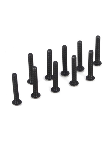 Button Head Screws  M3 x 20mm (10)
