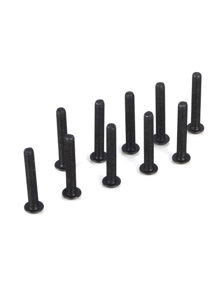 Button Head Screws  M3 x 20mm (10)