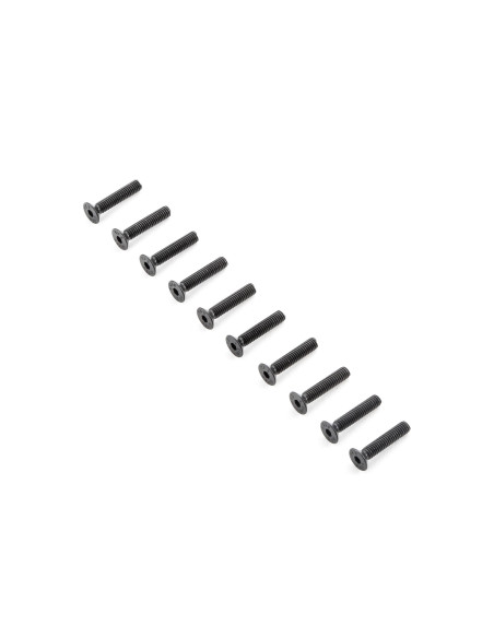 Flat Head Screws M4x20mm (10)