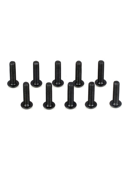 Button Head Screws  M3 x 12mm (10)