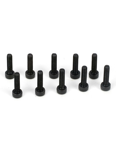 Cap Head Screws  M3 x 12mm (10)