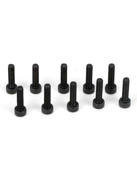 Cap Head Screws  M3 x 12mm (10)
