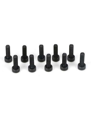 Cap Head Screws  M3 x 10mm (10)