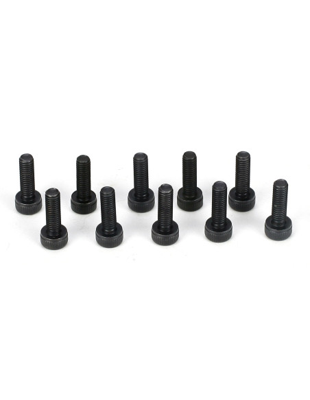 Cap Head Screws  M3 x 10mm (10)