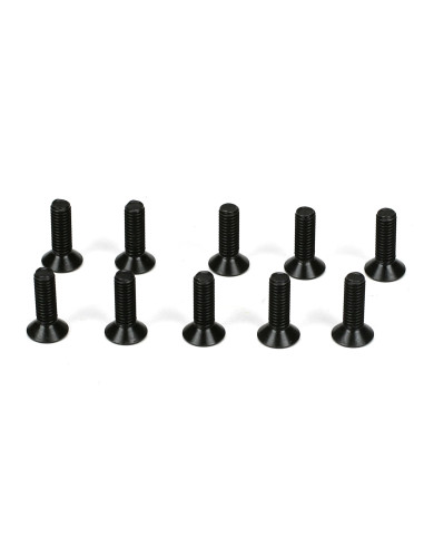 Flathead Screws  M3 x 10mm (10)