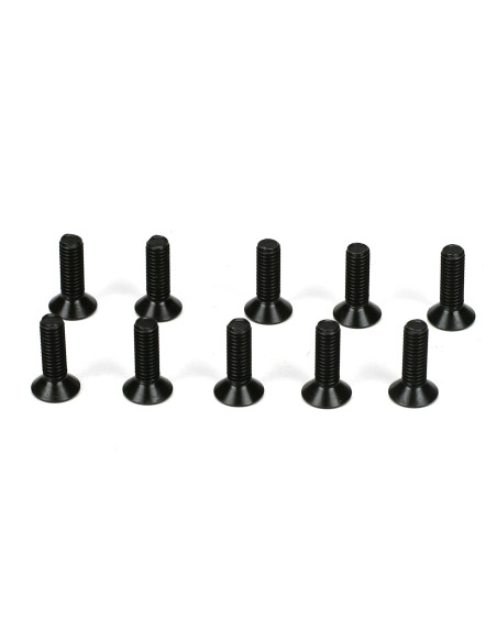 Flathead Screws  M3 x 10mm (10)