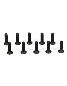 Flathead Screw  M3 x 12mm (10)
