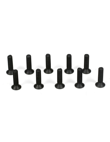 Flathead Screw  M3 x 12mm (10)