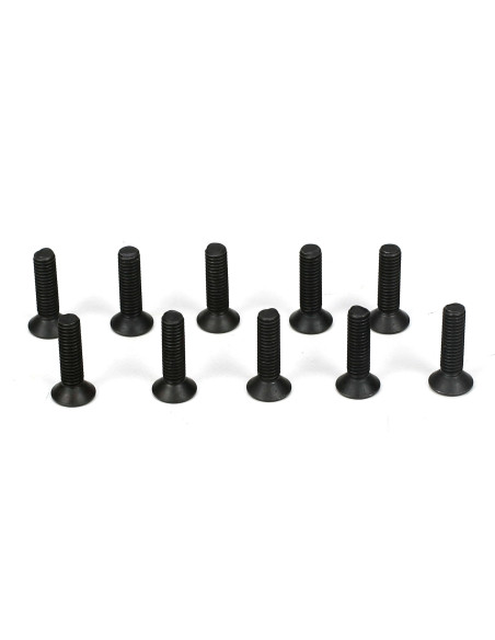 Flathead Screw  M3 x 12mm (10)