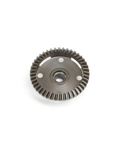 Rear Differential Ring...