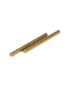 Rear inner hingepin (2): 22