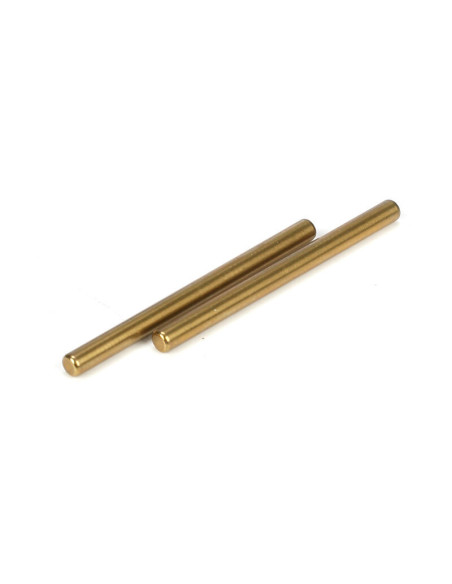Rear inner hingepin (2): 22