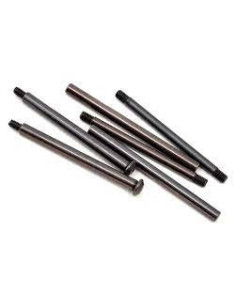 Hinge pin set  ticn (6): 22-4