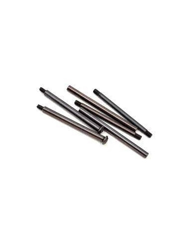 Hinge pin set  ticn (6): 22-4