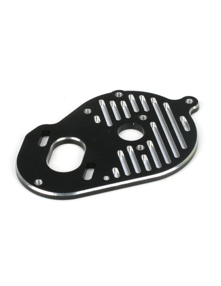 Motor plate: 22
