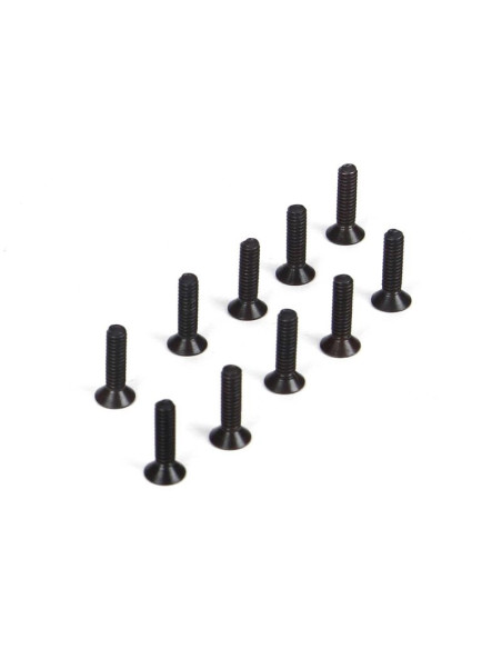 Flat head screws  m2 x 8mm (10)