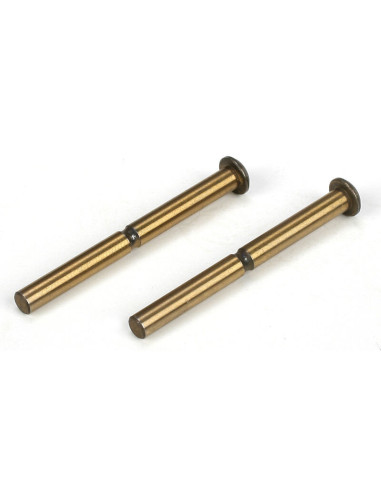 Hinge pin set: front  inner (2): 22