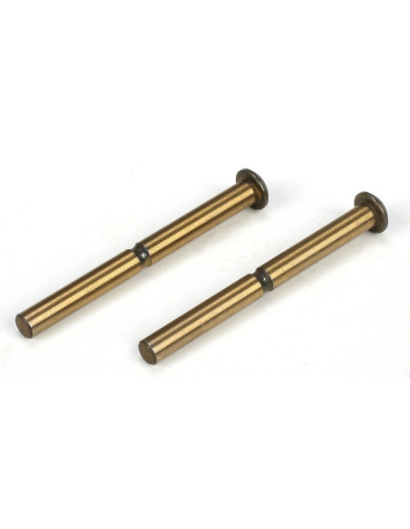Hinge pin set: front  inner (2): 22