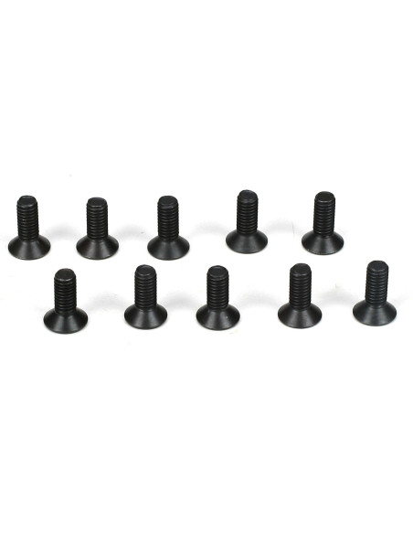 Flathead Screws  M3 x 8mm (10)