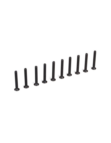 Flat Head Screws  M3 x 25mm (10)