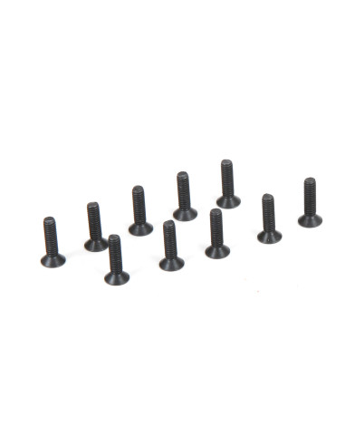 Flat Head Screws M2.5 x 10mm (10)