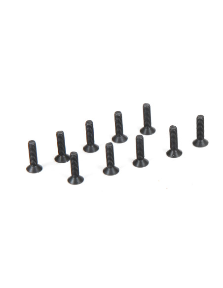 Flat Head Screws M2.5 x 10mm (10)