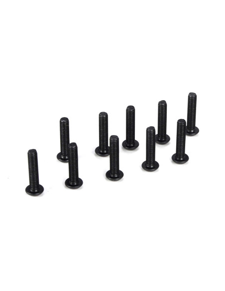 Button Head Screws  M3 x 14mm (10)