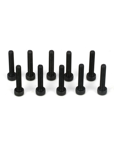 Cap Head Screws  M3 x 16mm (10)