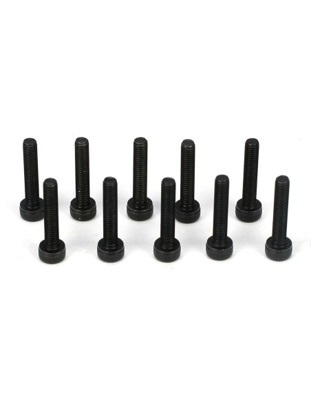 Cap Head Screws  M3 x 16mm (10)