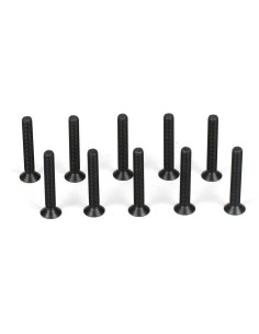 Flathead Screw  M3 x 20mm (10)