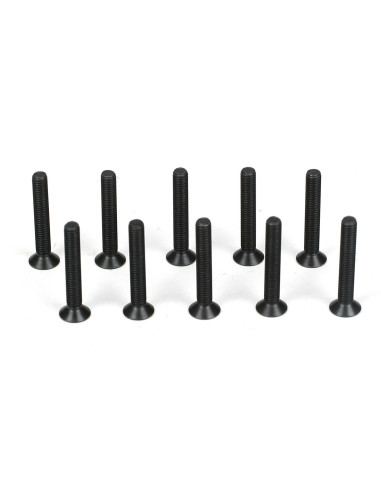 Flathead Screw  M3 x 20mm (10)