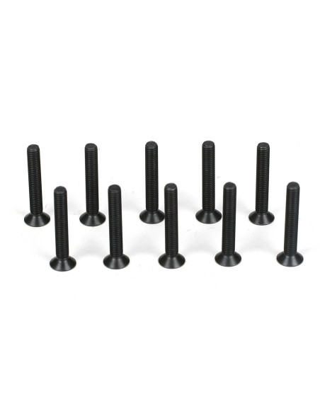 Flathead Screw  M3 x 20mm (10)