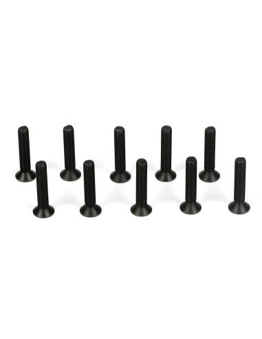 Flathead Screw  M3 x 16mm (10)