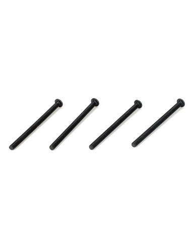 Button Head Screws  M3 x 44mm (4)