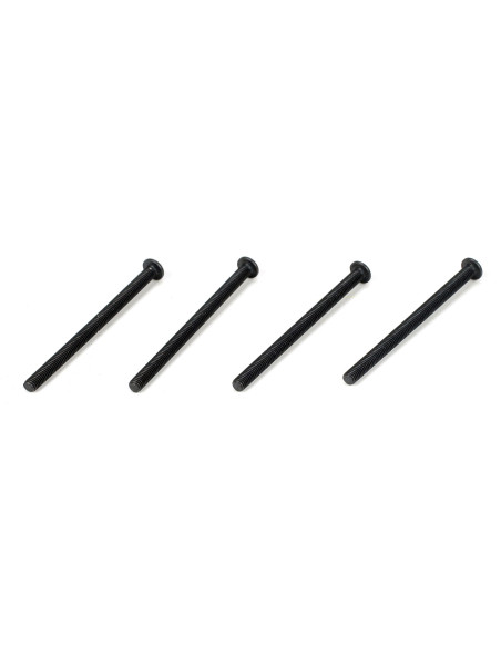 Button Head Screws  M3 x 44mm (4)