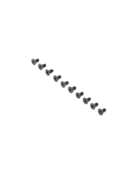 Flat Head Screws  M3 x 6mm (10)