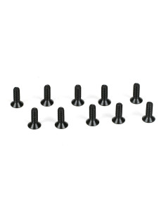 Flathead Screws  M2 x 6mm (10)