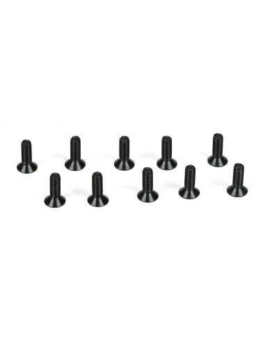 Flathead Screws  M2 x 6mm (10)