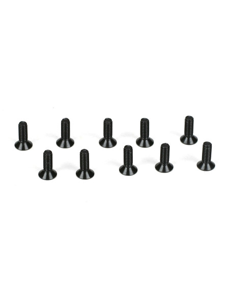 Flathead Screws  M2 x 6mm (10)