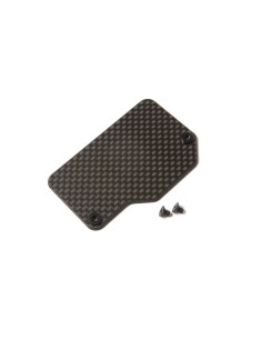 Carbon Electronics Mounting...