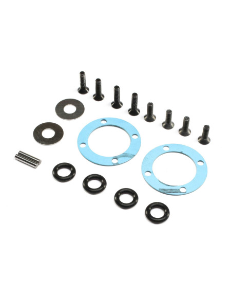 Diff Seal & Hardware Set: 22X-4