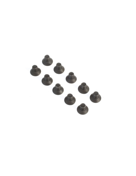 Flat Head Screws  M2.5 x 4mm (10)
