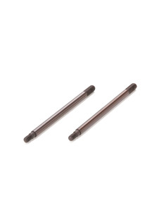 Rear Shock Shaft  TiCN (2):...