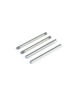Rear Hinge Pin Set...
