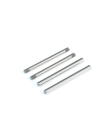 Rear Hinge Pin Set  Polished: All 22