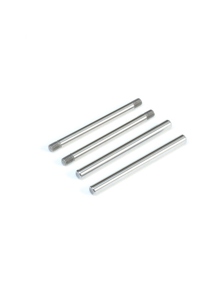 Rear Hinge Pin Set  Polished: All 22