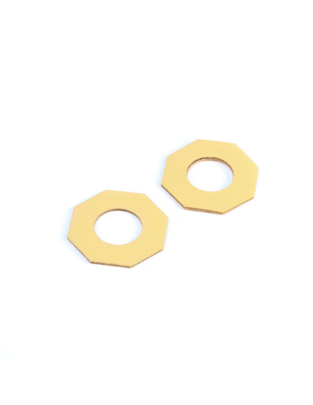 Slipper Pads  Max Torque SHDS (2)