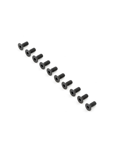 Flat Head Screws M5x12mm (10)