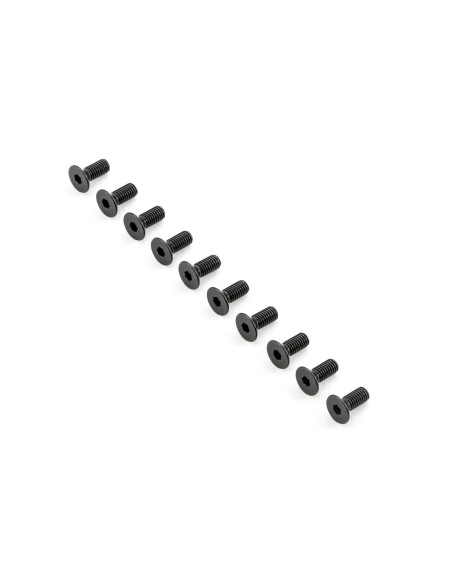 Flat Head Screws M5x12mm (10)